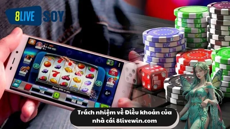Trách nhiệm về Điều khoản của nhà cái your-mail.br.com